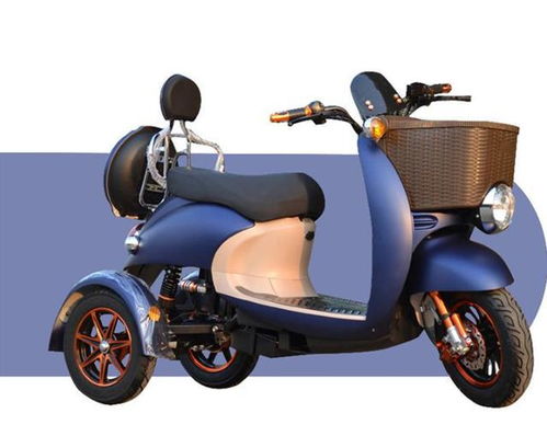 電動(dòng)車(chē)租賃系統(tǒng)開(kāi)發(fā),幫助租賃市場(chǎng)健康發(fā)展