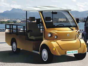 江蘇省朗格 朗格海豚系列電動觀光車 朗格電動車 優質商家 高清圖片 高清大圖