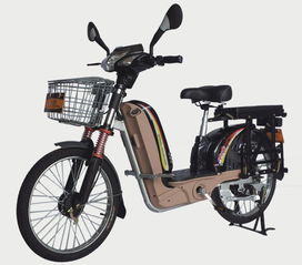 60v至尊載重王產(chǎn)品圖片展示 | 全球電動(dòng)車(chē)網(wǎng) 電動(dòng)車(chē)