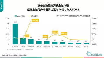 2017年上半年中國移動(dòng)互聯(lián)網(wǎng)發(fā)展分析報(bào)告